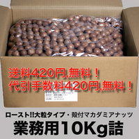 殻つきマカダミアナッツ(大粒ロースト10Kg)